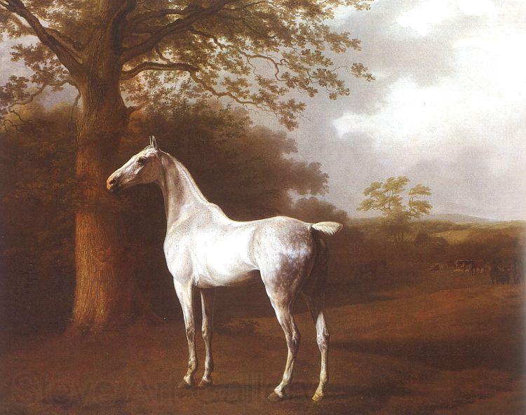 Jacques-Laurent Agasse White Horse in Pasture Germany oil painting art